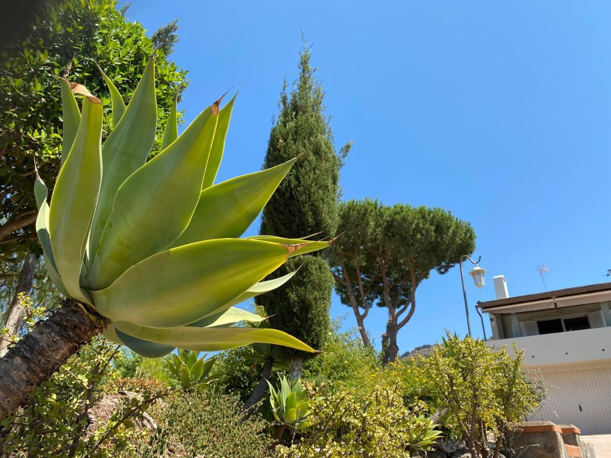B&B Casa Oceo - Malaga - Andalusie Alhaurín de la Torre Dış mekan fotoğraf