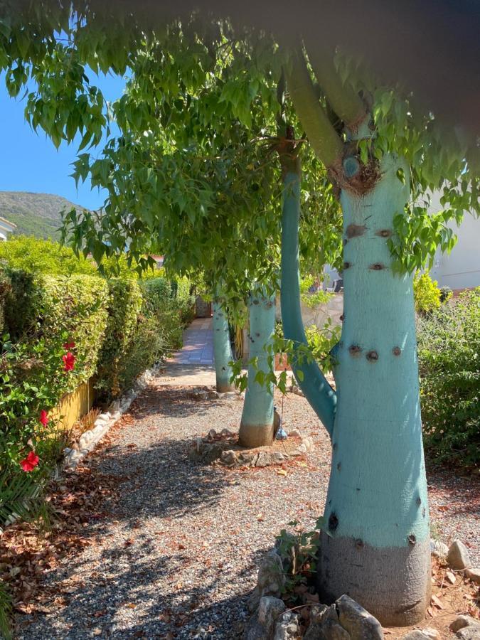 B&B Casa Oceo - Malaga - Andalusie Alhaurín de la Torre Dış mekan fotoğraf