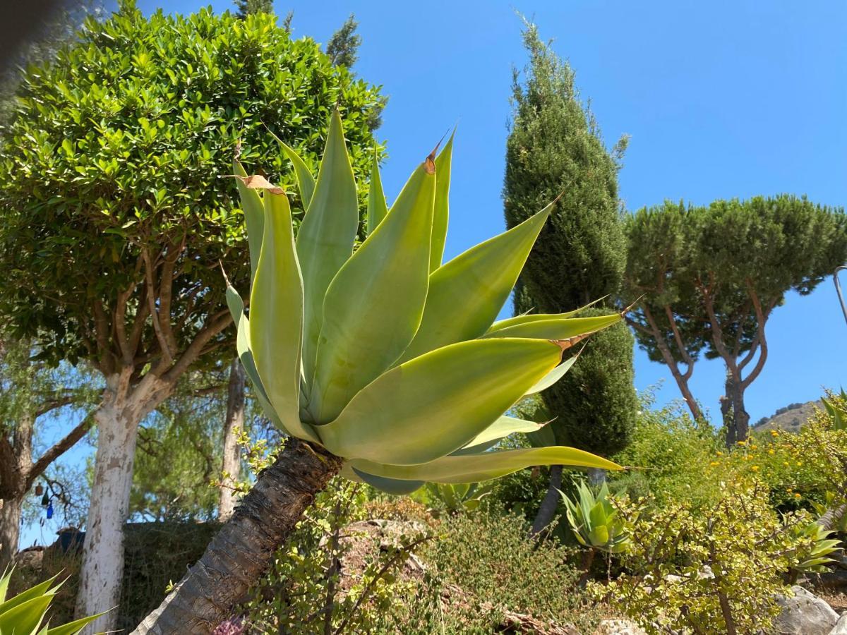 B&B Casa Oceo - Malaga - Andalusie Alhaurín de la Torre Dış mekan fotoğraf
