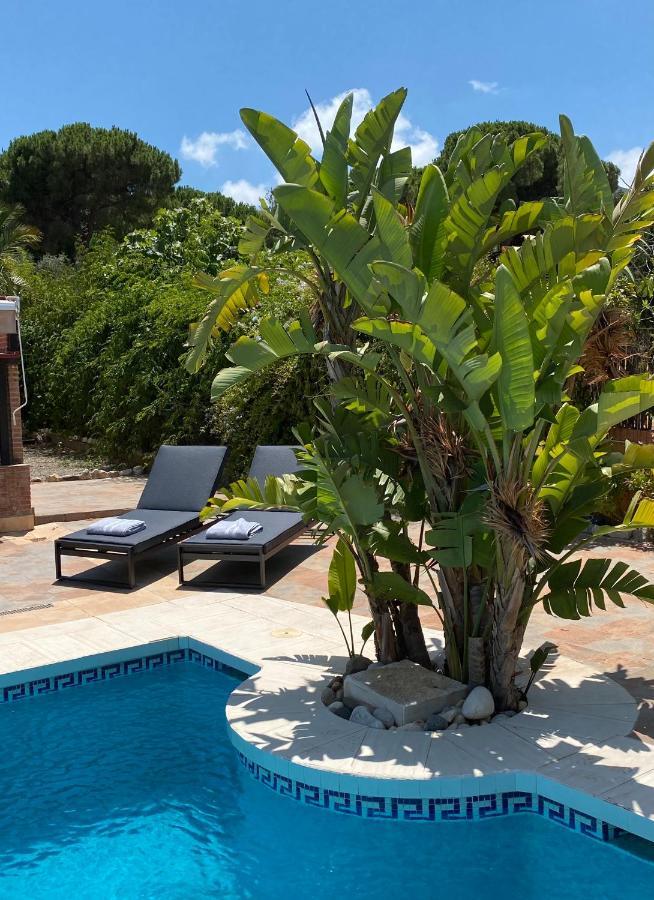 B&B Casa Oceo - Malaga - Andalusie Alhaurín de la Torre Dış mekan fotoğraf